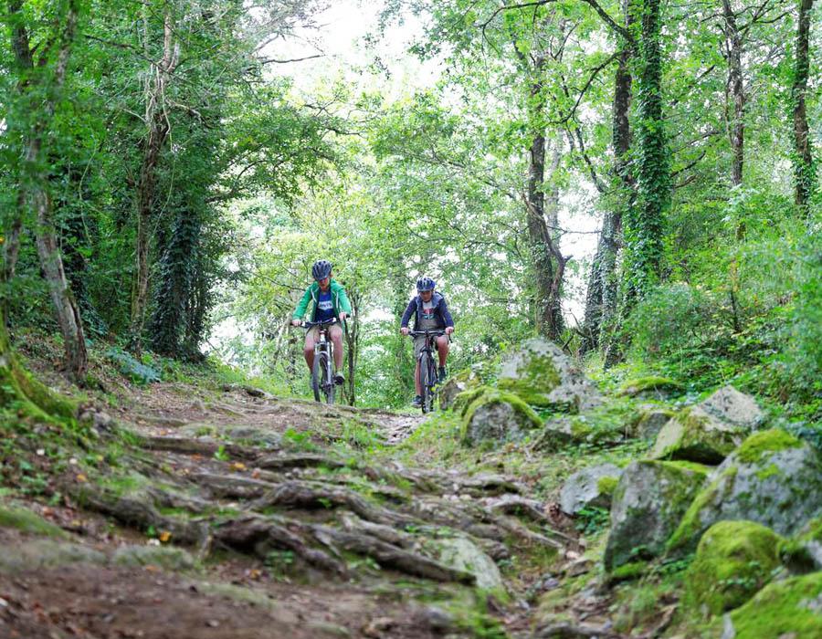 camping-au-lac-hautibus-circuit-velo-decouverte